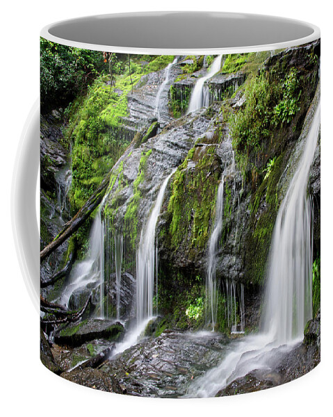 Catawba Falls Coffee Mug featuring the photograph Catawba Falls 19 by Phil Perkins