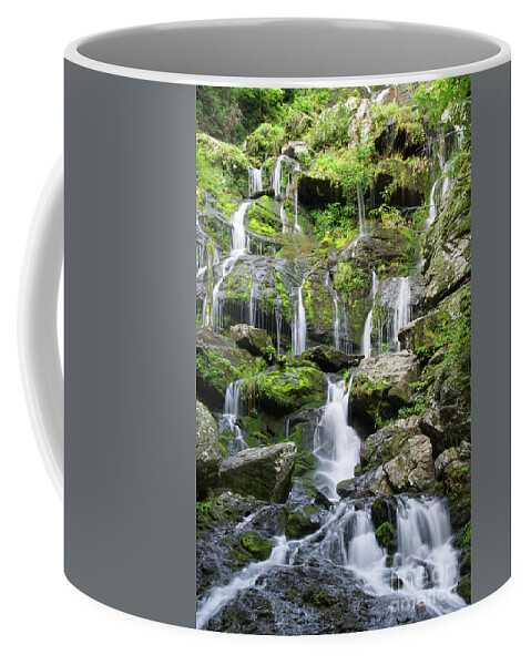 Catawba Falls Coffee Mug featuring the photograph Catawba Falls 21 by Phil Perkins