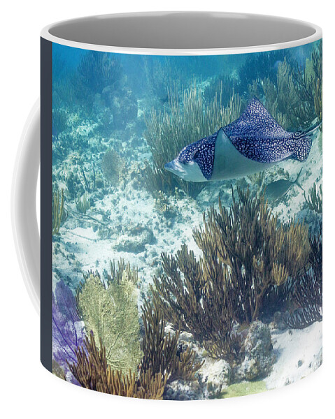 Grand Cayman Coffee Mug featuring the photograph Catch Me If You Can by Lynne Browne