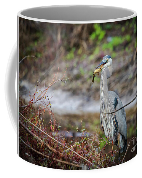 Wildlife Coffee Mug featuring the photograph Catfishing by DB Hayes
