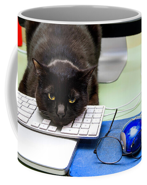 Photography Coffee Mug featuring the photograph Cats #4 by Christopher W Weeks