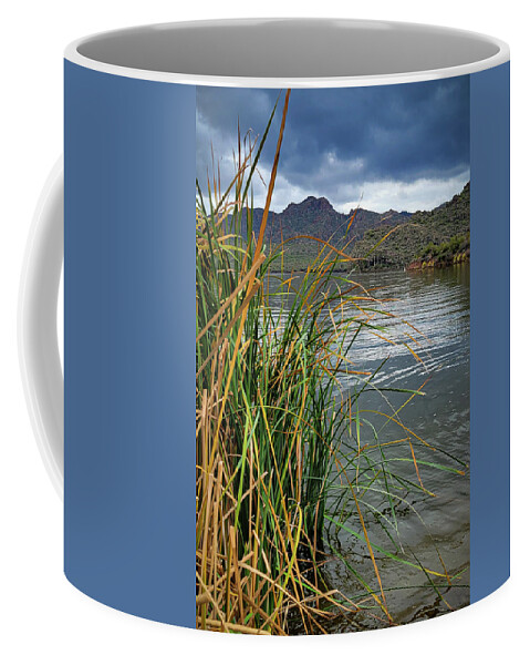 Cattail Coffee Mug featuring the photograph Cattail Reeds on Saguaro Lake by Bonny Puckett