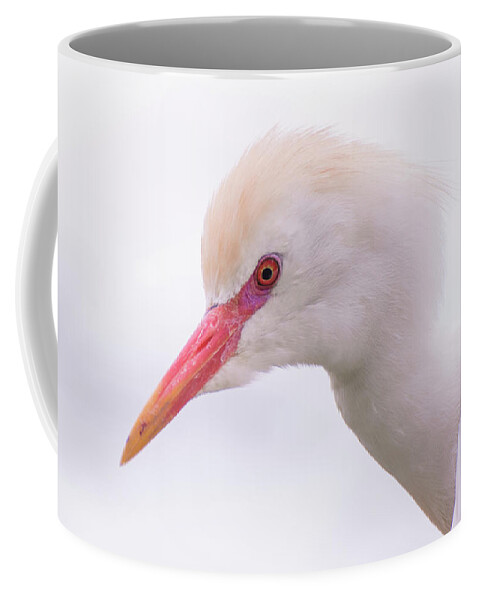 Cattle Coffee Mug featuring the photograph Cattle Egret by Carolyn Hutchins