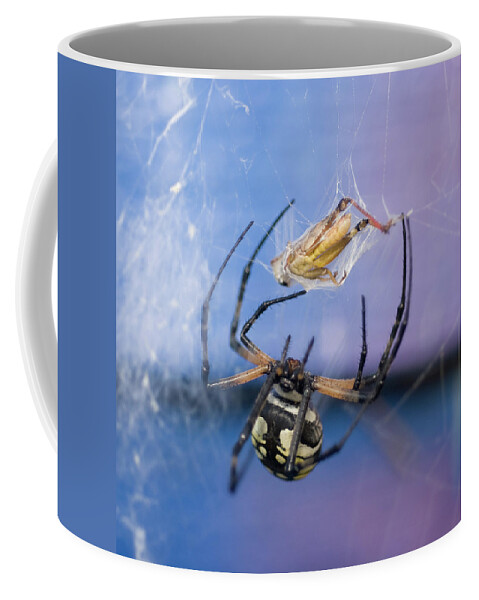 Garden Spider Coffee Mug featuring the photograph Caught in the Web by Melissa Southern