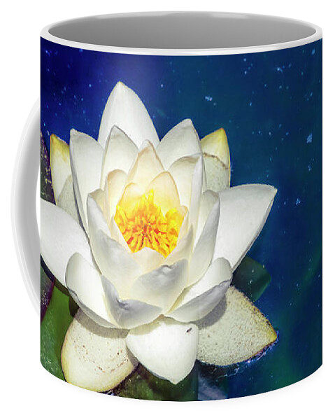 Water Lily Coffee Mug featuring the photograph Celestial Water Lily by Bonnie Follett