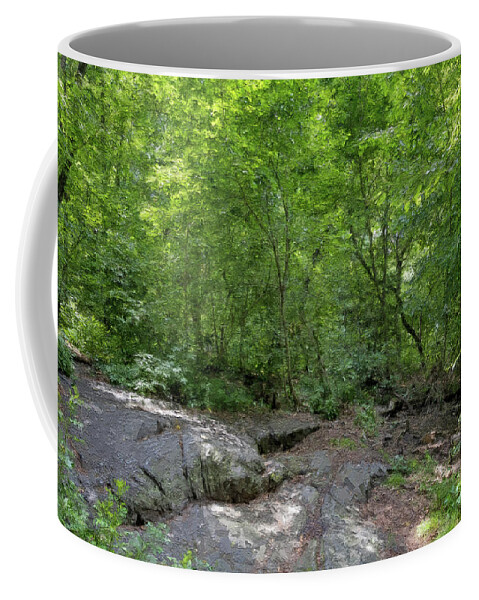 Central Park Coffee Mug featuring the digital art Central Park Serenity by Alison Frank