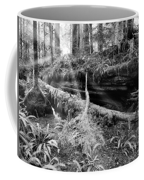 Black And White Photography Coffee Mug featuring the photograph Centuries Old and Sunbeams by Allan Van Gasbeck