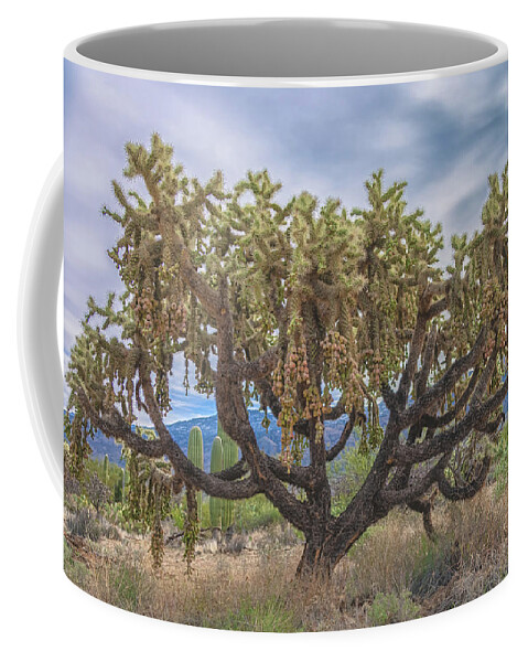 Chain-fruit Cholla Coffee Mug featuring the photograph Chained-fruit Cholla by Jonathan Nguyen
