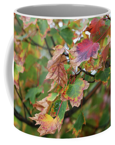 Leaves Coffee Mug featuring the photograph Change of the Season by Mary Anne Delgado