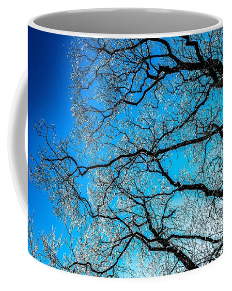 Abstract Coffee Mug featuring the photograph Chaotic System Of Ice Covered Tree Branches With Blue Sky by Andreas Berthold