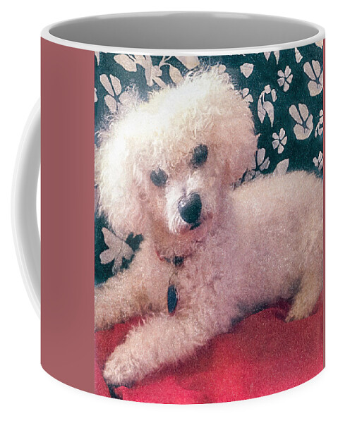  Coffee Mug featuring the photograph Charlie by Derek Dean