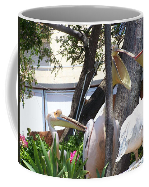Pelicans Coffee Mug featuring the photograph Chatting by Christopher Rowlands