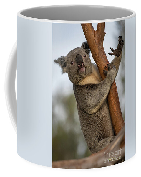 San Diego Zoo Coffee Mug featuring the photograph Check My Mighty Claw by David Levin