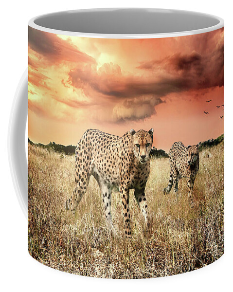 Cheetah Coffee Mug featuring the photograph Cheetah Hunt by Ed Taylor