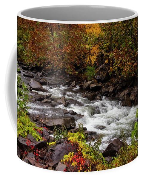 Carolina Coffee Mug featuring the photograph Cheoah River Cascades by Debra and Dave Vanderlaan