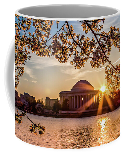 Cherry Blossoms Coffee Mug featuring the photograph Cherry blossoms and Jefferson Memorial by Robert Miller