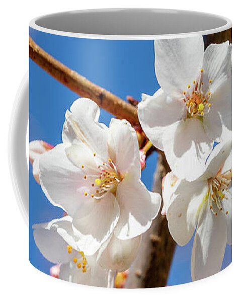Flowers Coffee Mug featuring the photograph Cherry Blossoms by David Beechum