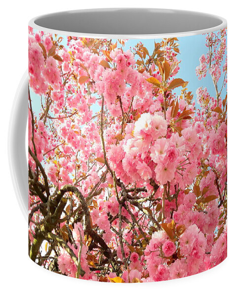 Cherry Coffee Mug featuring the photograph Cherry blossoms by Nataliya Vetter