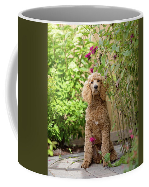 Chester Coffee Mug featuring the photograph Chester 15 by Rebecca Cozart