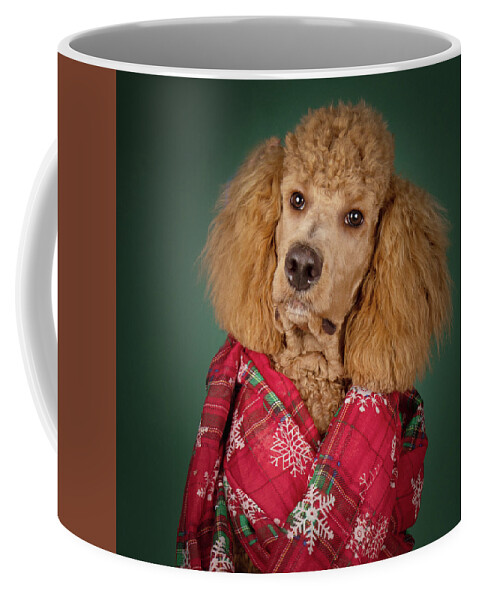 Chester Coffee Mug featuring the photograph Chester Xmas 5 Square by Rebecca Cozart