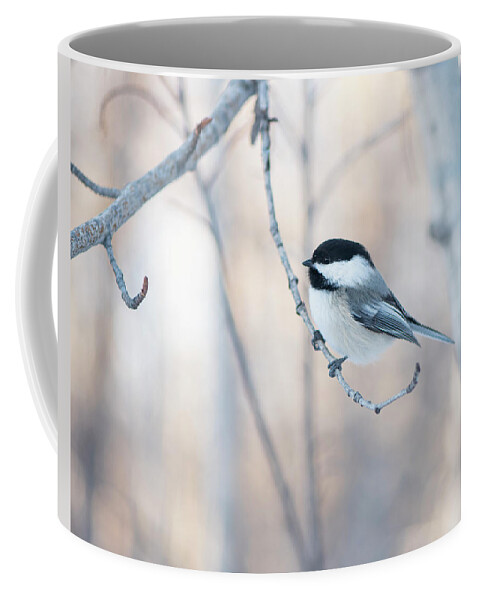 Chickadee Coffee Mug featuring the photograph Chickadee by Karen Rispin