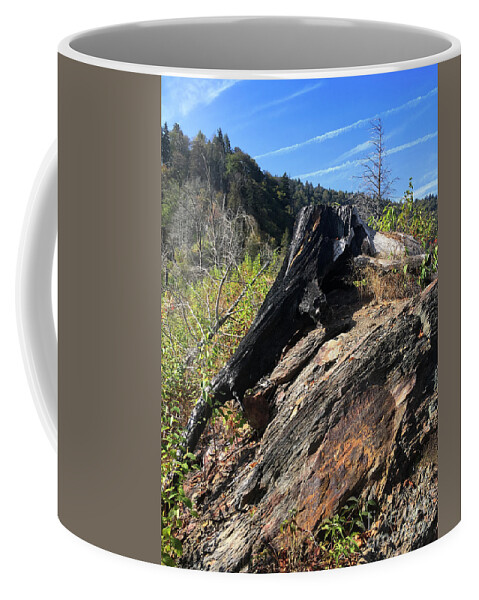 Chimney Tops Coffee Mug featuring the photograph Chimney Tops 20 by Phil Perkins