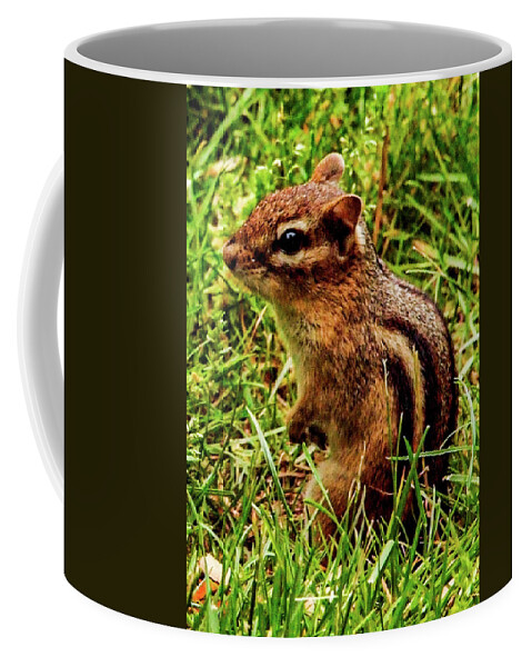 Chipmunk Grass Green Coffee Mug featuring the photograph Chipmunk by John Linnemeyer