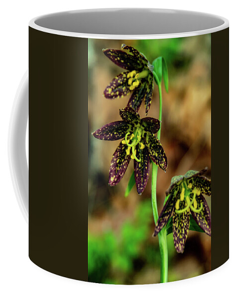 Catherine Creek Coffee Mug featuring the photograph Trio of Chocolate Orchids by Leslie Struxness