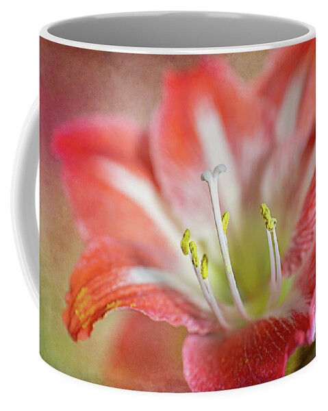 Pink Coffee Mug featuring the photograph Christmas Flower by Amy Dundon