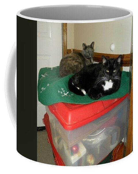Cats Coffee Mug featuring the photograph Christmas Memories by Matthew Seufer