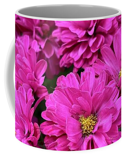 Pink Coffee Mug featuring the photograph Chrysanthemum by Albert Massimi