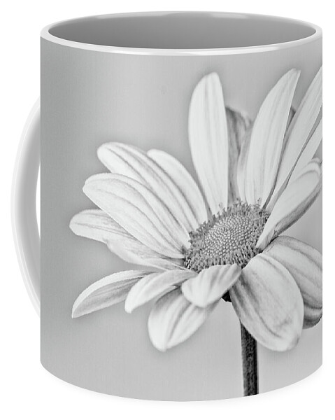 Flower Coffee Mug featuring the photograph Chrysanthemum bw 2 by Tanya C Smith
