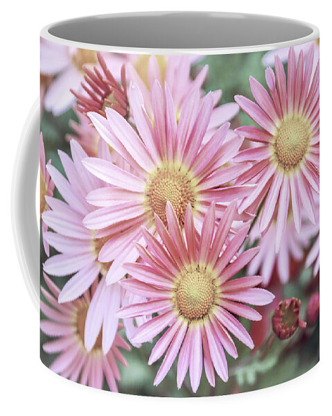 Flowers Coffee Mug featuring the photograph Chrysanthemum Flowers by Christina Rollo