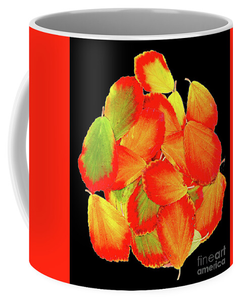 Autumn Colour Coffee Mug featuring the photograph Circle by Marilyn Cornwell