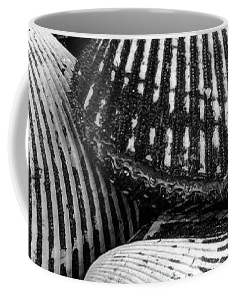 Clams Coffee Mug featuring the photograph Clambake by William Scott Koenig