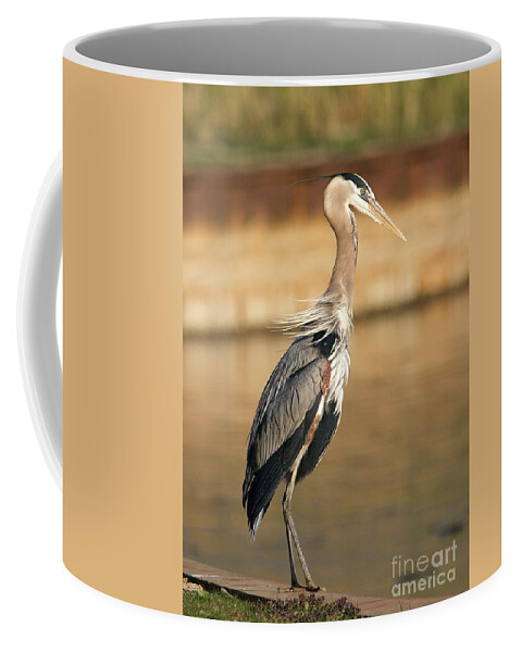 Great Blue Heron Coffee Mug featuring the photograph Classic Great Heron Pose by Yvonne M Smith