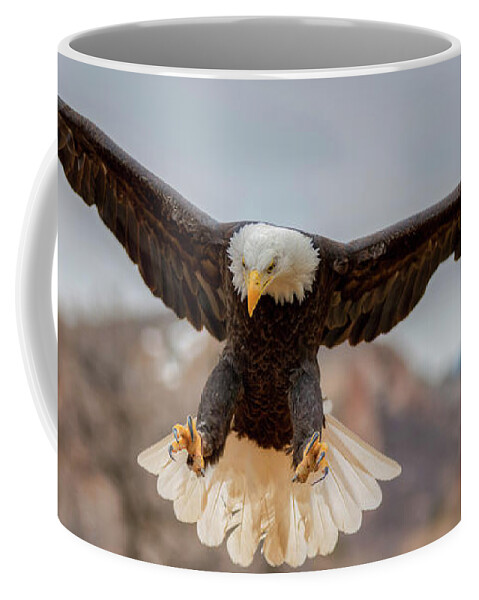 Eagle Coffee Mug featuring the photograph Cleared for Landing by Chuck Rasco Photography