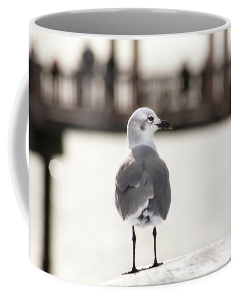 Little Coffee Mug featuring the photograph Clearwater Beach Seagull and Pier by Marilyn Hunt