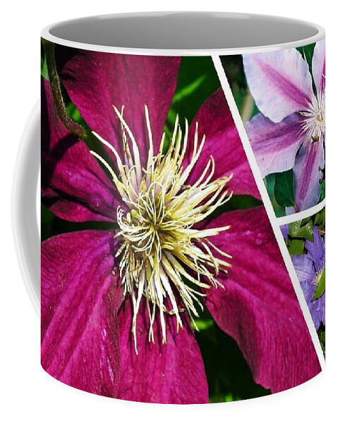 Clematis Coffee Mug featuring the photograph Clematis Blossoms by Nancy Ayanna Wyatt
