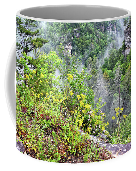 Fog Coffee Mug featuring the photograph Cliff Flowers by Phil Perkins