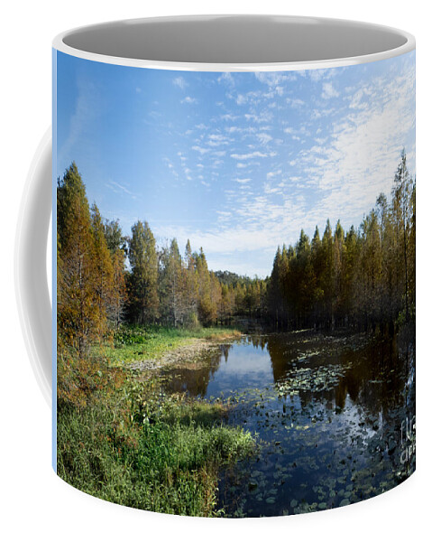 Wetland Coffee Mug featuring the photograph Cliff Stepens Park is a Surprising Wetland in Clearwater Florida by L Bosco