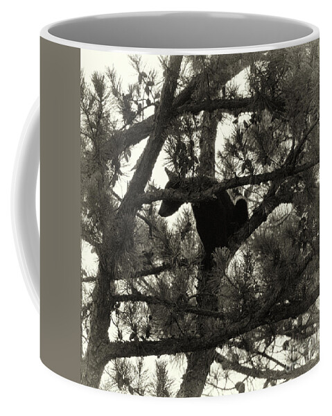 Bear Coffee Mug featuring the photograph Climbing Bear 4 by Phil Perkins