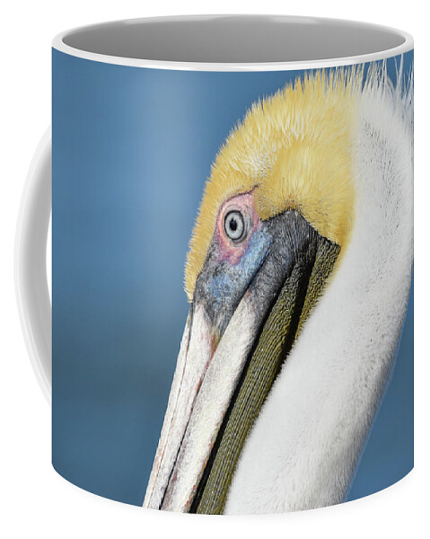 Brown Coffee Mug featuring the photograph Close Up by Christopher Rice