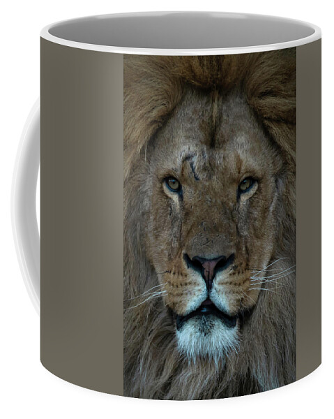 Close-up Coffee Mug featuring the photograph Close-up Lion by Marjolein Van Middelkoop