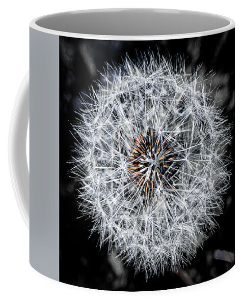 Dandelion Coffee Mug featuring the photograph Close up of a dandelion by Jim Feldman