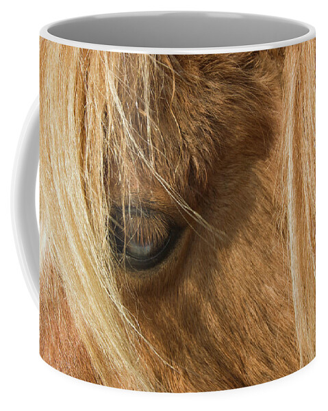 United Kingdom Coffee Mug featuring the photograph Close up of Dartmoor Pony's Eye by Richard Donovan
