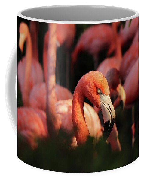 American Flamingo Coffee Mug featuring the photograph Head american flamingo, Phoenicopterus ruber, from bushes by Vaclav Sonnek
