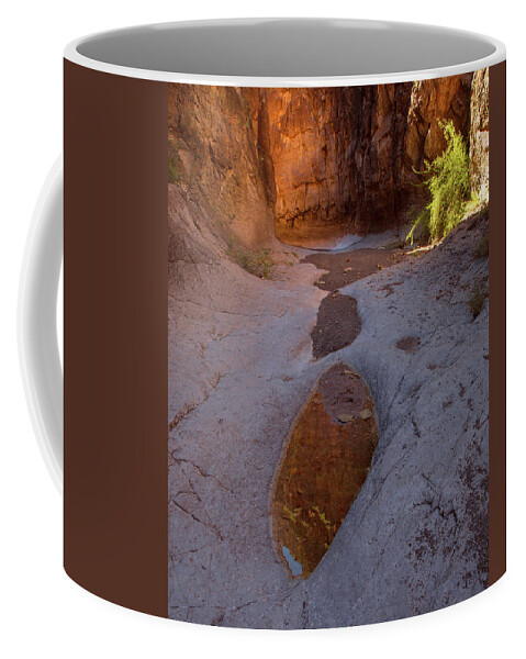 Bbrsp Coffee Mug featuring the photograph Closed Canyon Reflection by Mike Schaffner