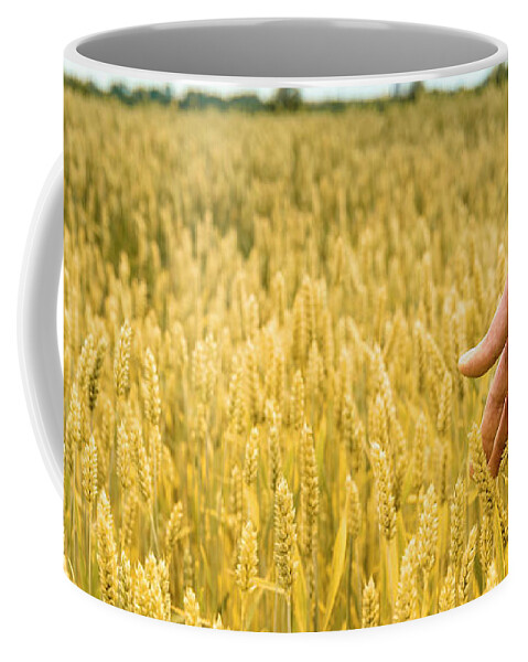 Wheat Coffee Mug featuring the photograph Closeup of farmer's hand over wheat by Jelena Jovanovic