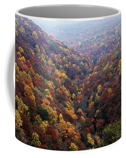 Cloudland Canyon Coffee Mug featuring the photograph Cloudland Canyon, Ga. by Richard Krebs
